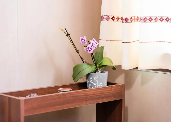 Su Carinniu Oda ve Kahvaltı